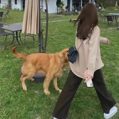 威灵顿战线